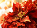 The festively decorated flowers matching...