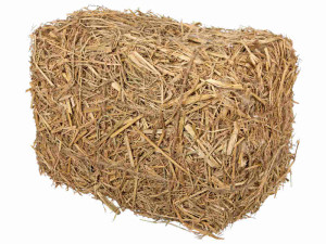 straw