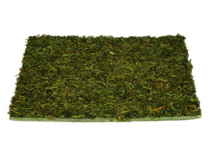 moss