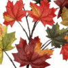 couleurs d\'automne