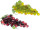 grappe de raisin "big" l 30cm diff. couleurs