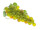 grappe de raisin "big" l 30cm vert