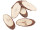 Holz-Schale Schiffchen natur 40 x 11,5 x H 3cm