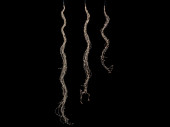 LED Angel Hair Kabel silber, LED warmweiss, versch....