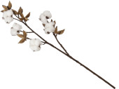 Baumwollzweig 5 Blüten braun/weiss L 60cm