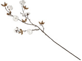 Baumwollzweig 7 Blüten braun/weiss L 90cm