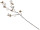 Baumwollzweig 7 Blüten braun/weiss L 90cm