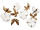 Baumwoll-Blüten/Hülsen 10-tlg. braun/weiss Ø 5,5cm