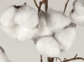 Baumwollgirlande 40 Blüten braun/weiss L 170cm