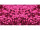 Stoff "Glitter" B 137cm pink
