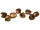 Buddha-nuts braun 10 - 12cm, 8 Stück