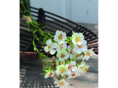 Wachsblumenbund 3-tlg. creme L 32cm