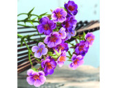 Wachsblumenbund 3-tlg. lila L 32cm