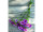 Wachsblumenbund 3-tlg. lila L 32cm