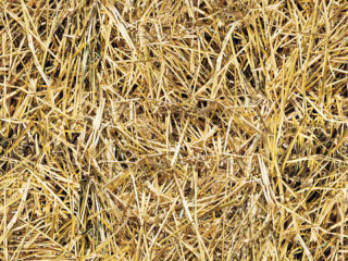 photo motif cardboard "straw" natural/yellow, both sides 49,5 x 68cm