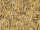 carton photo à motif "paille" naturel/jaune, deux côtés 49,5 x 68cm