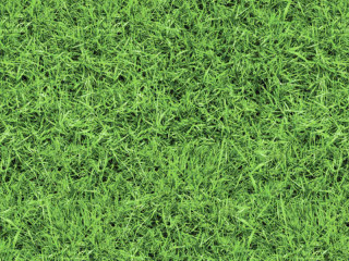 carton photo à motif "gazon" vert, deux côtés 49,5 x 68cm