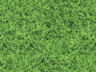 photo motif cardboard "lawn" green, both sides 49,5 x 68cm