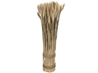 Getreidebund H 50cm, Ø 10cm Naturmaterial