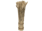 Getreidebund H 50cm, Ø 10cm Naturmaterial