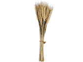 Getreidebündchen L 35cm Naturmaterial