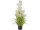 Grasbündel mit Pusteblumen H 98 cm, Ø 50 cm