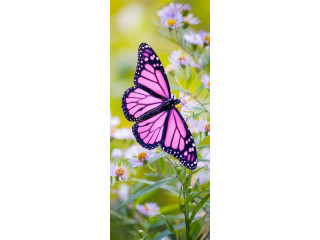 Textilbanner "Schmetterling" 75 x 180cm, rosa/bunt, Schlauchnaht oben+unten