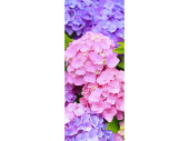 Textilbanner Hortensien lila/rosa 75x180cm, Schlauchnaht...