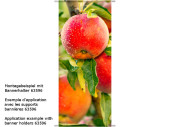 Textilbanner "Apfel am Baum" 75 x 180cm, rot/grün Schlauchnaht oben+unten