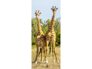 Textilbanner "Giraffen" 75 x 180cm, naturfarben Schlauchnaht oben+unten