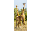 Textilbanner "Giraffen" 75 x 180cm, naturfarben...