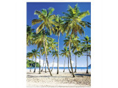 Display-Banner "Palmenstrand" 150 x 200cm,...