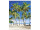 Display-Banner "Palmenstrand" 150 x 200cm, inkl. Aufhängung
