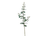 Eucalyptus-Zweig 68cm grün/grau