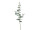 Eucalyptus-Zweig 68cm grün/grau