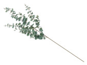 Eucalyptus-Zweig 115cm grün/grau