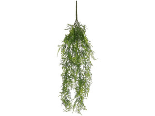 Asparagus plumosus-Hänger 6-tlg., grün 80cm