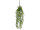 Asparagus plumosus-Hänger 6-tlg., grün 80cm