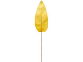 Canna-Blatt "Color" L 100cm gelb