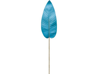Canna-Blatt "Color" L 100cm hellblau