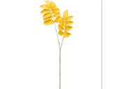 Melianthus-Zweig "Color" L 95cm gelb