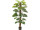 Monstera 42 Blätter getopft grün, H 150cm