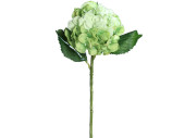 Hortensie grün mit 3 Blätter H 44cm