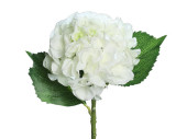 Hortensie weiss mit 3 Blätter H 44cm