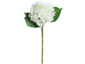 Hortensie weiss mit 3 Blätter H 44cm