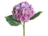 Hortensie flieder 3 Blätter H 44cm