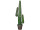 Mexiko-Kaktus im Topf grün, H 124cm, 2 Nebenarme