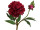 Pfingstrose mit Knospe dunkelrot L 37cm, Blüte Ø 10cm