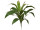 Cordyline-Busch B1 grün, 62cm, schwer entflammbar