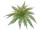 Leder-Farn-Busch grün, Ø 48cm, schwer entflammbar B1, UV-beständig